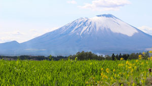 日本百名山　岩手県　岩手山の風景写真画像