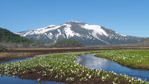 日本百名山　群馬県　至仏山の風景写真画像