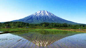 日本百名山　北海道　羊蹄山の風景写真画像